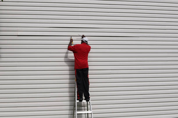 Best Insulated Siding Installation  in Seven Mile, AZ